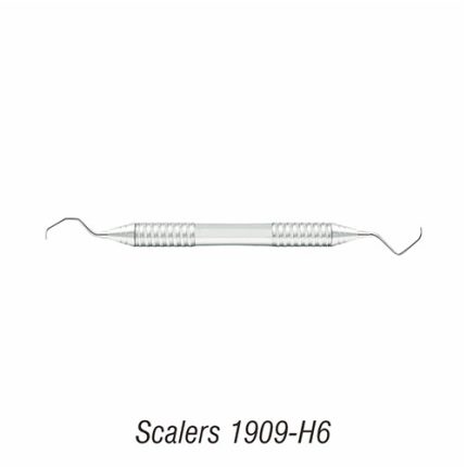 ASA DENTAL Scalers (1909-H6)